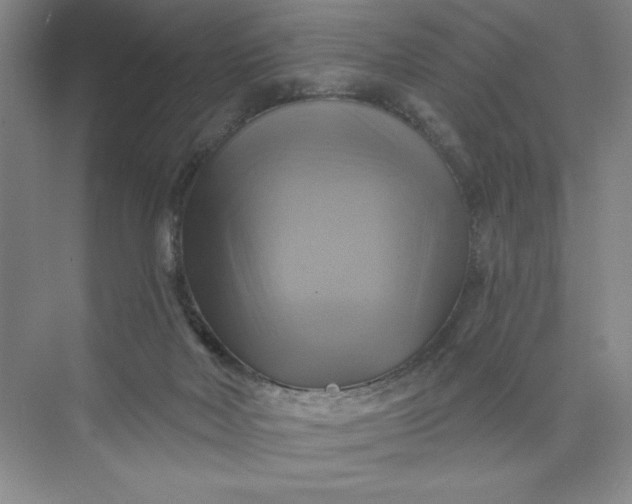 X0000075900026200609291743