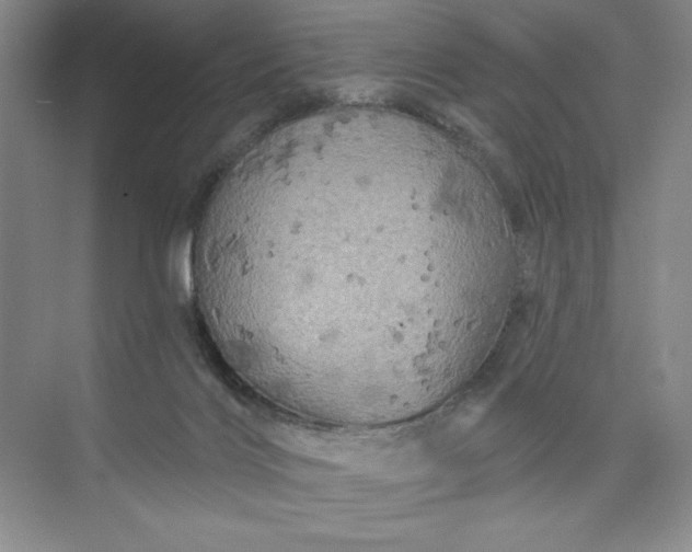 X0000075900028200609291743