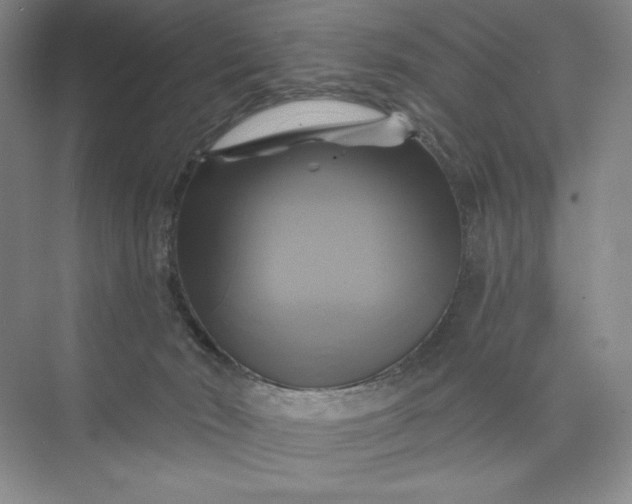 X0000075900030200609291743