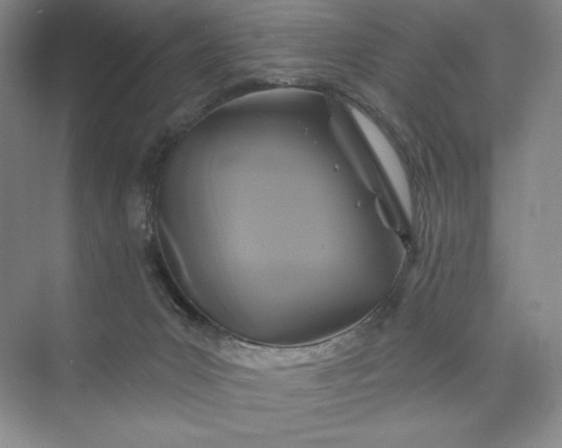 X0000075900031200609291743