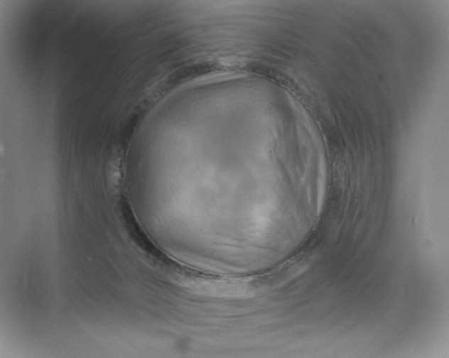 X0000075900032200609291743