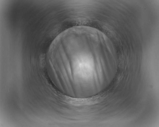 X0000075900034200609291743