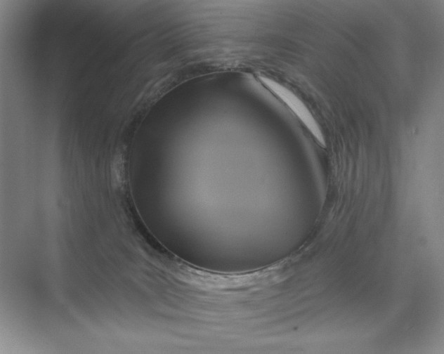 X0000075900035200609291743