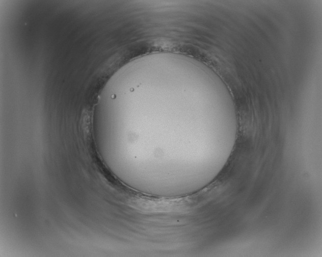 X0000075900036200609291743