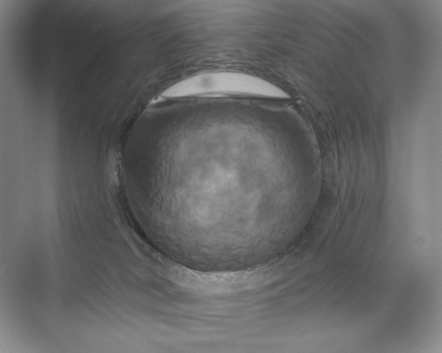 X0000075900038200609291743