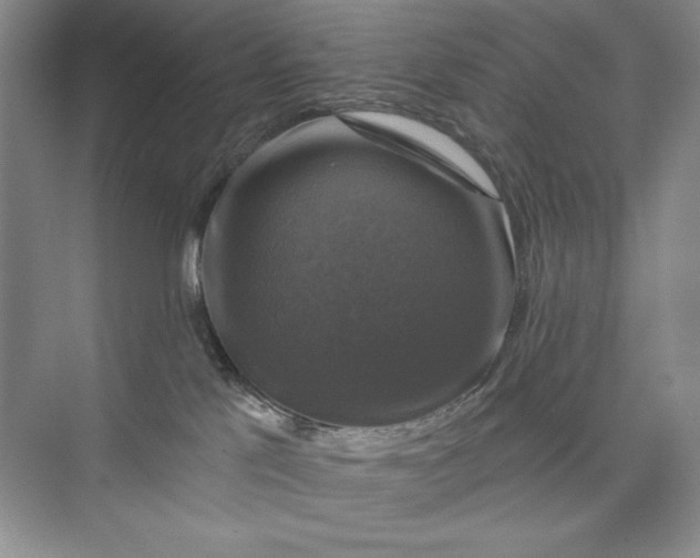 X0000075900041200609291743