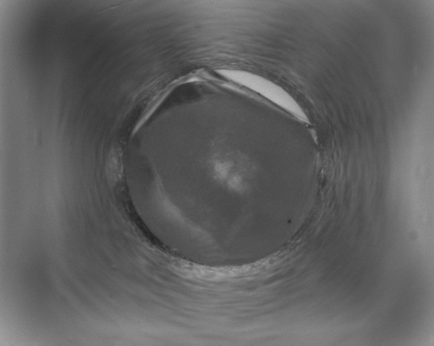 X0000075900043200609291743