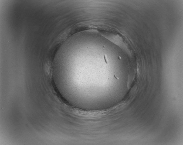 X0000075900044200609291743