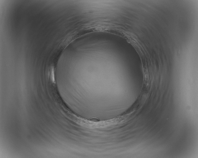 X0000075900046200609291743