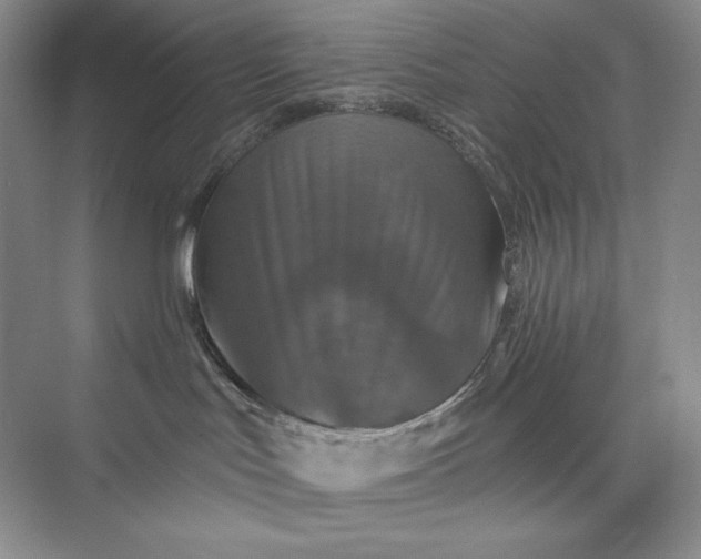 X0000075900047200609291743