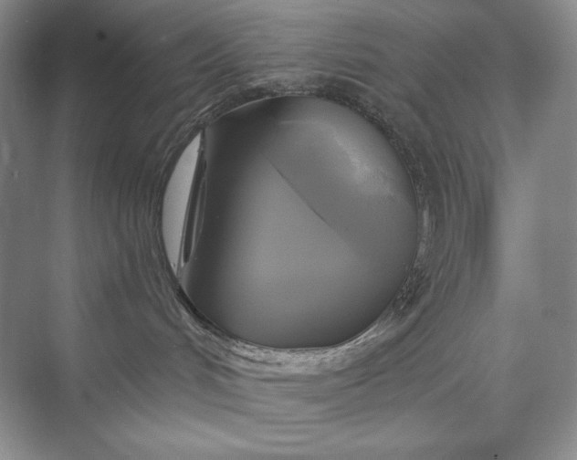 X0000075900048200609291743