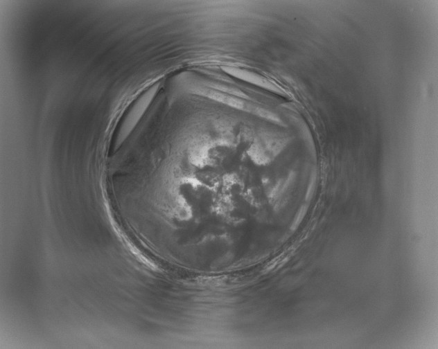 X0000075900049200609291742