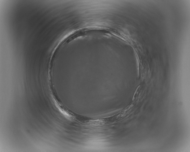 X0000075900050200609291742