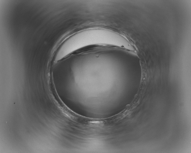 X0000075900053200609291742