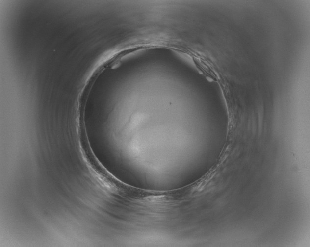 X0000075900054200609291742