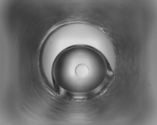 X0000075900056200609291742