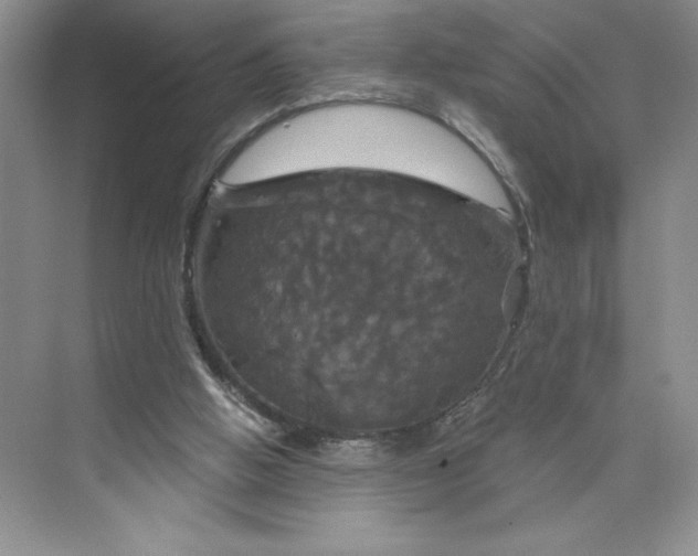 X0000075900058200609291742