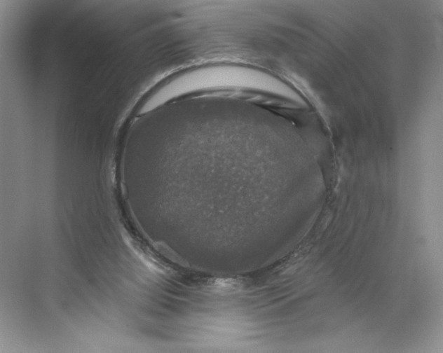 X0000075900060200609291742