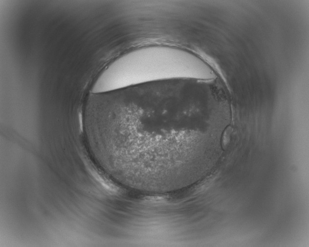 X0000075900061200609291742