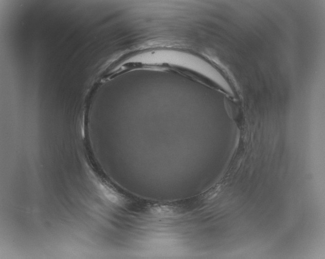 X0000075900062200609291742