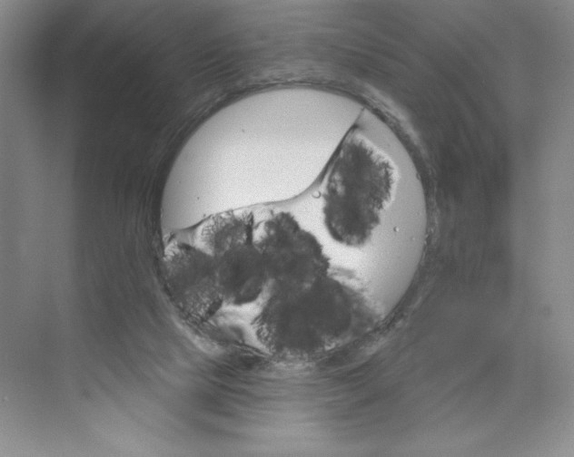 X0000075900065200609291742