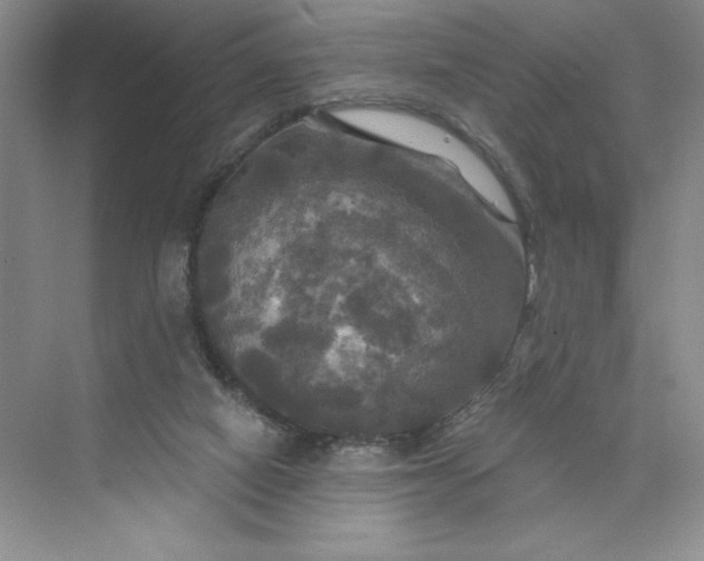 X0000075900066200609291742