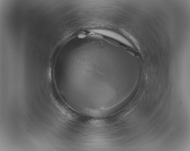 X0000075900067200609291743