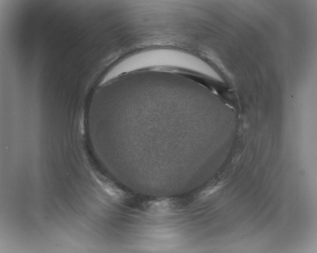 X0000075900068200609291743