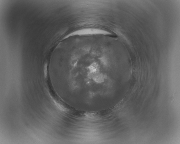 X0000075900070200609291743