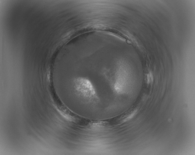 X0000075900072200609291743