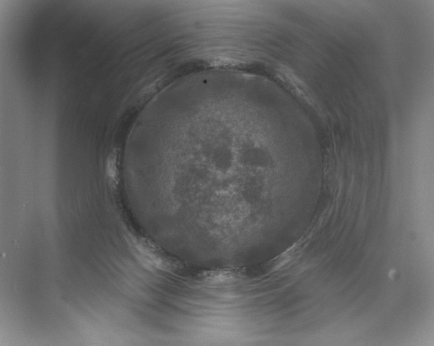 X0000075900074200609291743