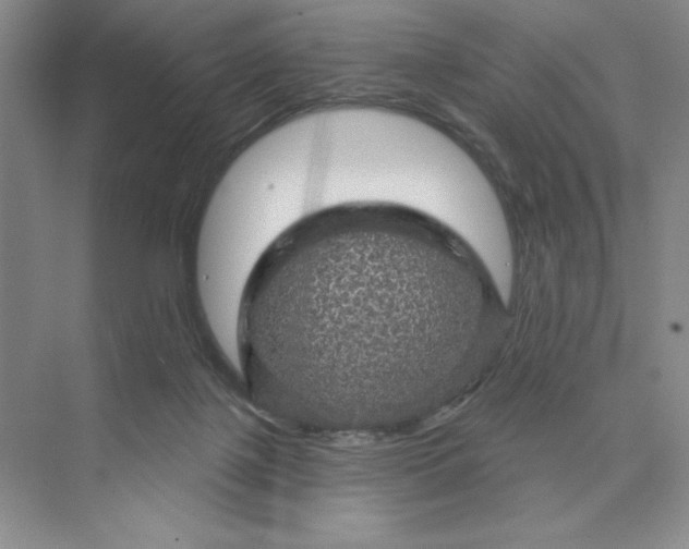 X0000075900075200609291743