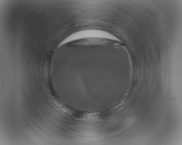 X0000075900078200609291743