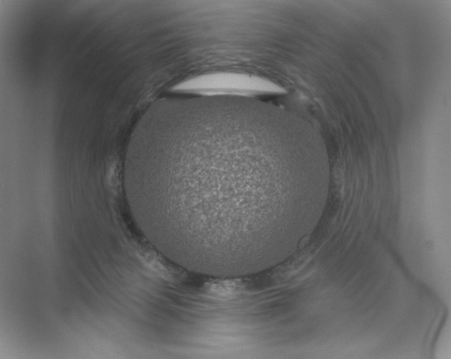 X0000075900079200609291743