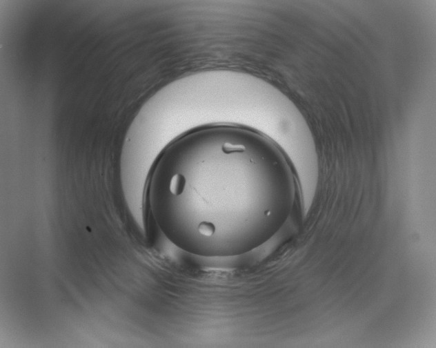 X0000075900080200609291743