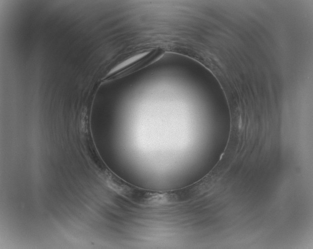 X0000075900083200609291743