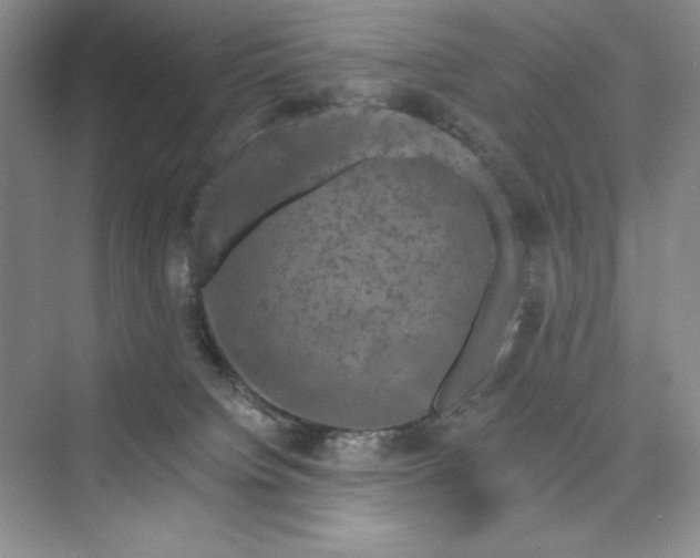 X0000075900084200609291743