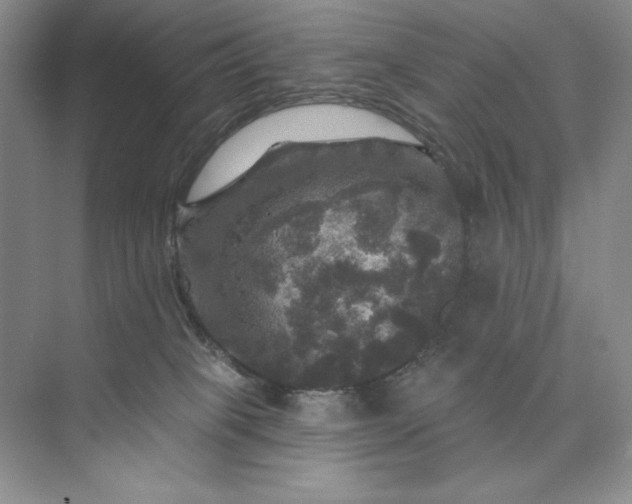 X0000075900085200609291743