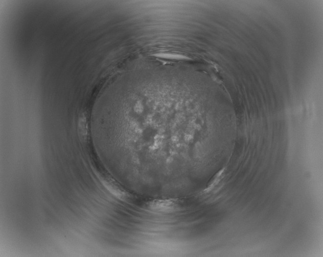 X0000075900086200609291743