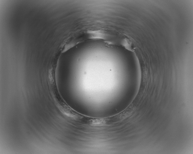 X0000075900088200609291743