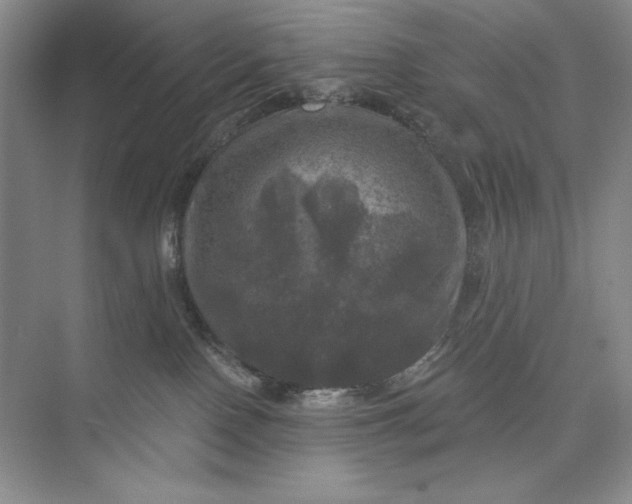 X0000075900090200609291743