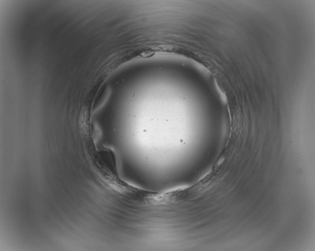 X0000075900092200609291743