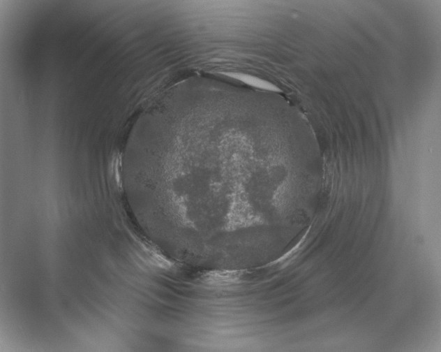 X0000075900094200609291743