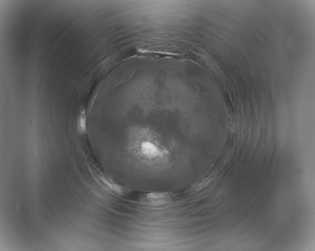 X0000075900095200609291743