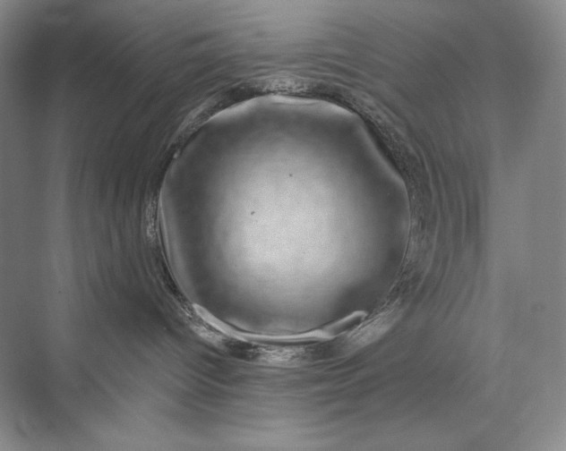 X0000075900096200609291743