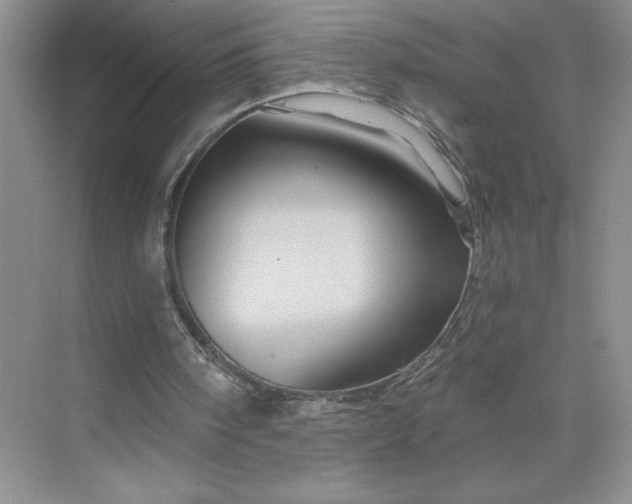 X0000075900098200609291742