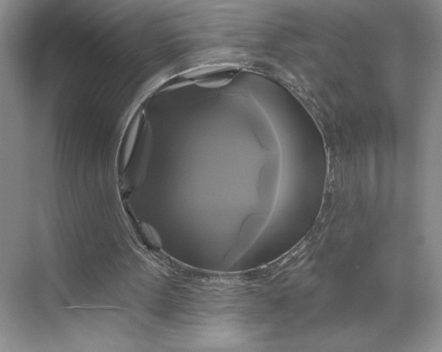 X0000075900099200609291742