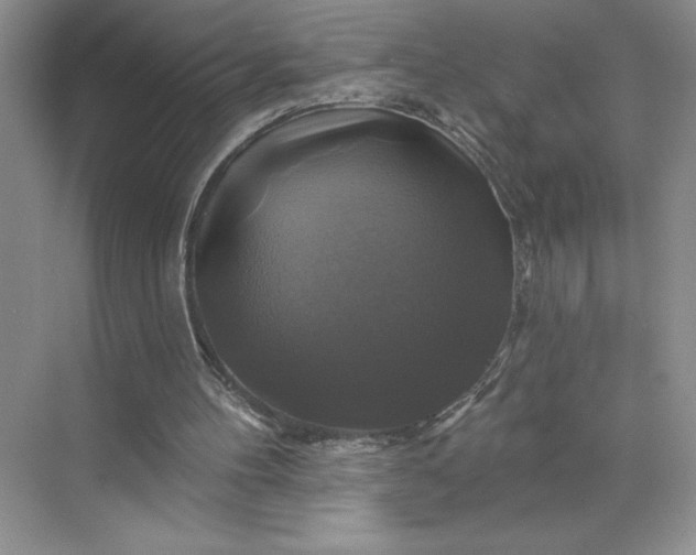 X0000075900100200609291742