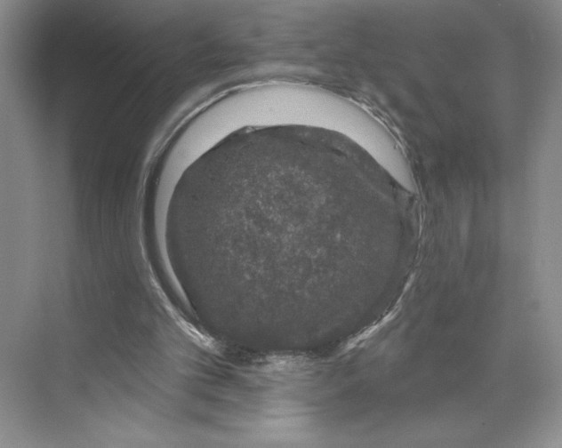 X0000075900101200609291742