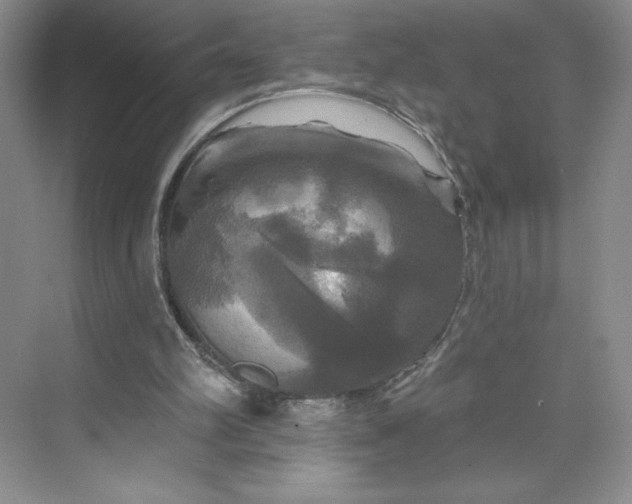 X0000075900102200609291742